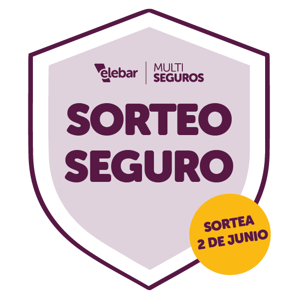 Sorteo seguro-04
